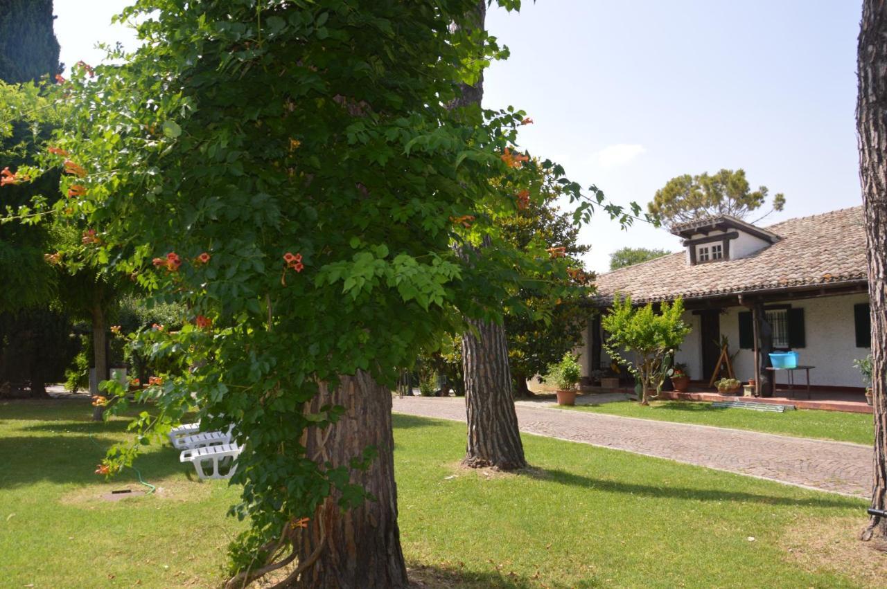 B&B Villa Lupidi Corridonia Εξωτερικό φωτογραφία