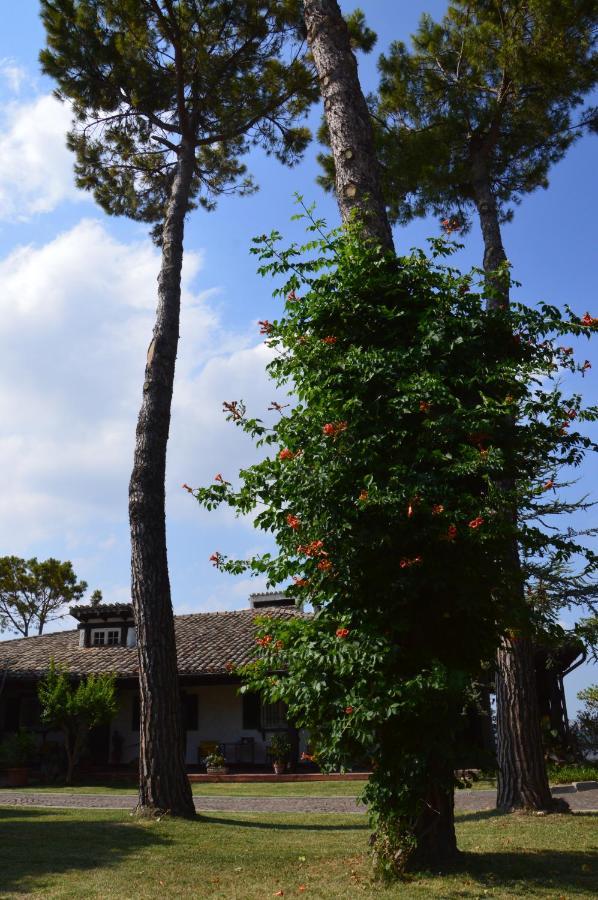 B&B Villa Lupidi Corridonia Εξωτερικό φωτογραφία