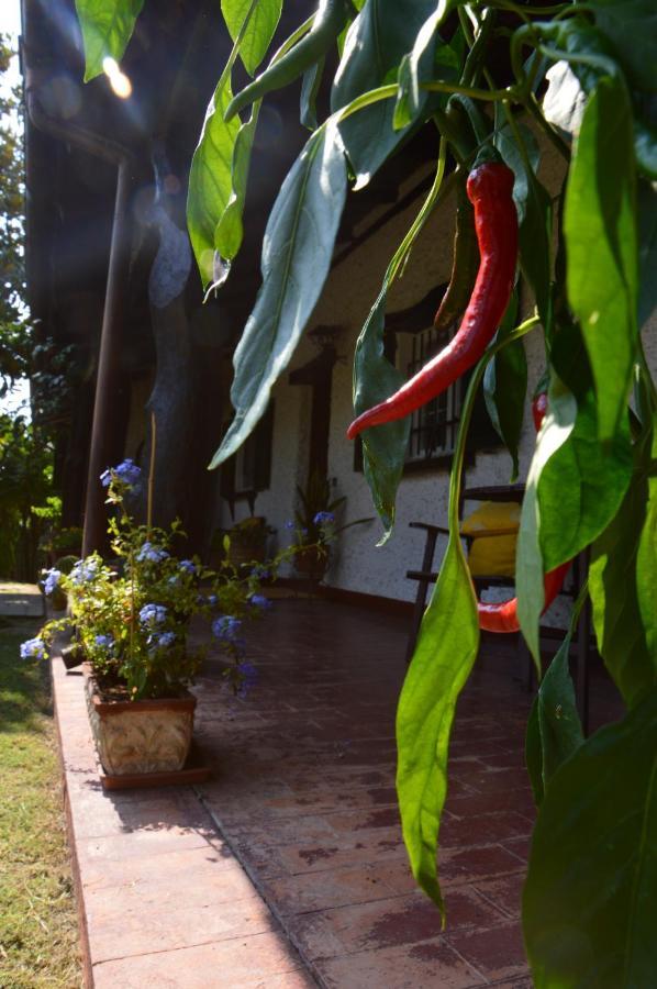 B&B Villa Lupidi Corridonia Εξωτερικό φωτογραφία